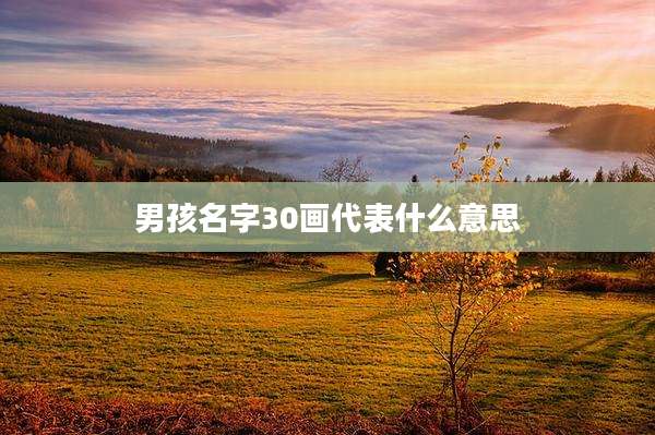男孩名字30画代表什么意思