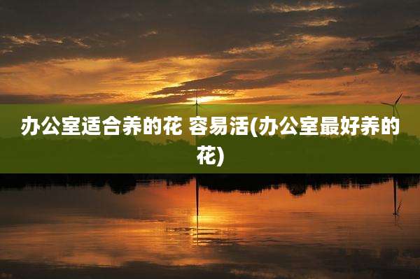 办公室适合养的花 容易活(办公室最好养的花)