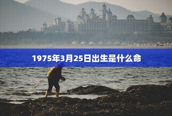 1975年3月25日出生是什么命