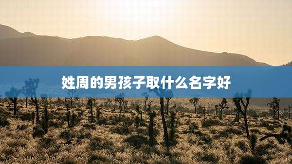 姓周的男孩子取什么名字好