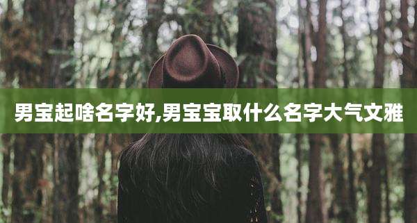 男宝起啥名字好,男宝宝取什么名字大气文雅