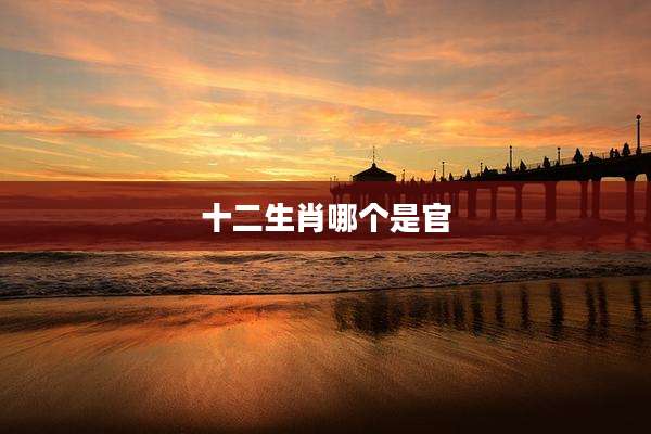 十二生肖哪个是官