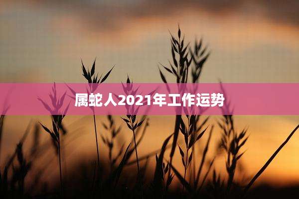 属蛇人2021年工作运势