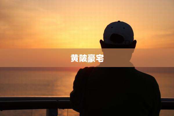 黄陂豪宅