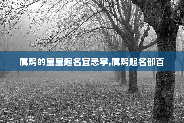 属鸡的宝宝起名宜忌字,属鸡起名部首