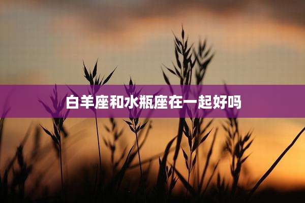 白羊座和水瓶座在一起好吗