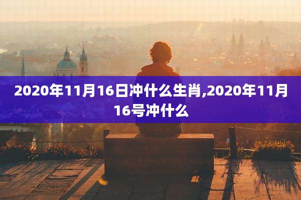 2020年11月16日冲什么生肖,2020年11月16号冲什么