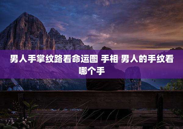 男人手掌纹路看命运图 手相 男人的手纹看哪个手