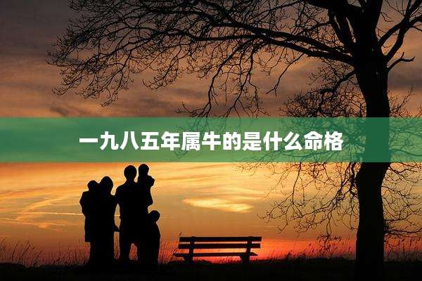 一九八五年属牛的是什么命格