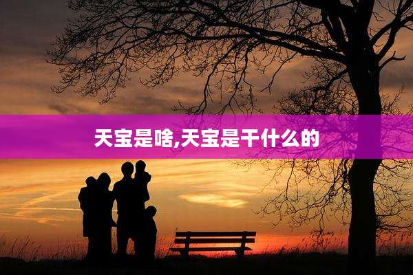 天宝是啥,天宝是干什么的