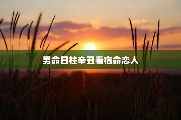 男命日柱辛丑看宿命恋人