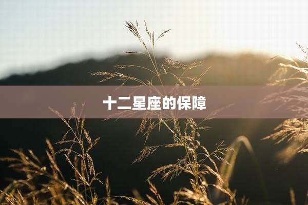 十二星座的保障