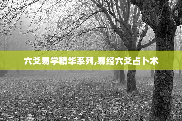 六爻易学精华系列,易经六爻占卜术