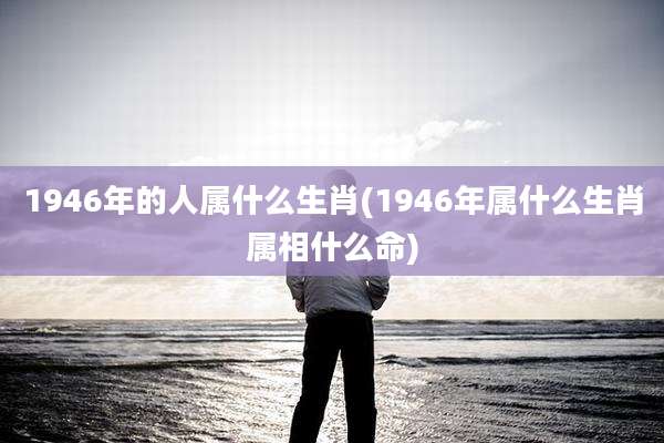 1946年的人属什么生肖(1946年属什么生肖属相什么命)