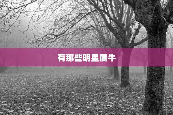 有那些明星属牛