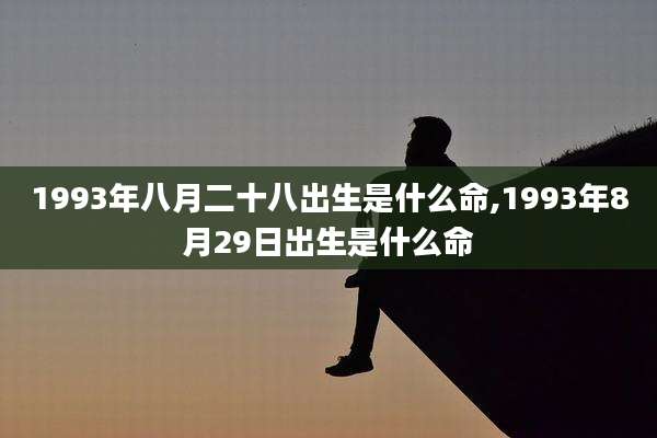 1993年八月二十八出生是什么命,1993年8月29日出生是什么命