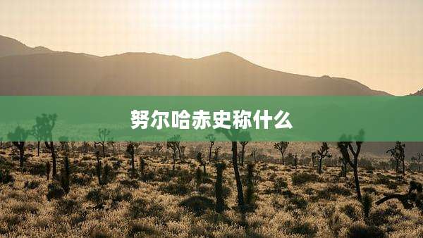 努尔哈赤史称什么