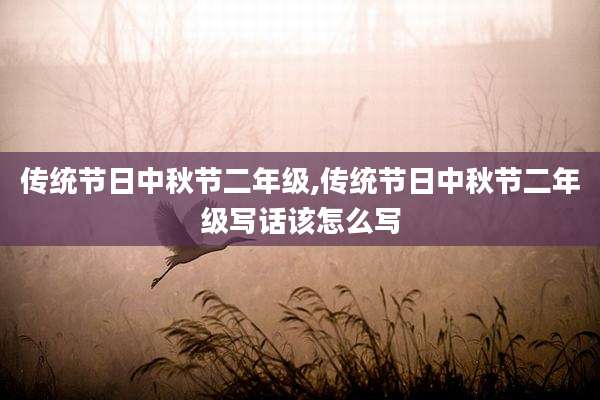 传统节日中秋节二年级,传统节日中秋节二年级写话该怎么写