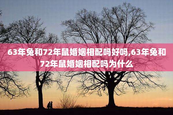 63年兔和72年鼠婚姻相配吗好吗,63年兔和72年鼠婚姻相配吗为什么