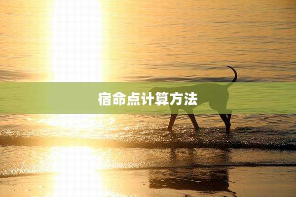 宿命点计算方法
