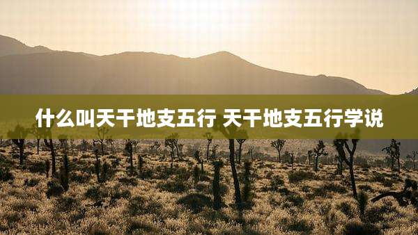 什么叫天干地支五行 天干地支五行学说
