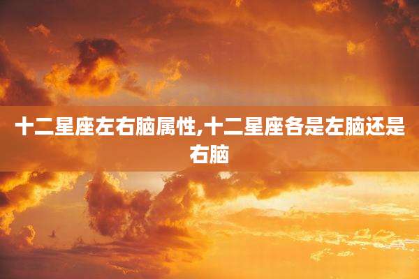 十二星座左右脑属性,十二星座各是左脑还是右脑