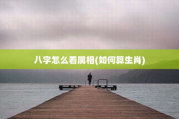 八字怎么看属相(如何算生肖)
