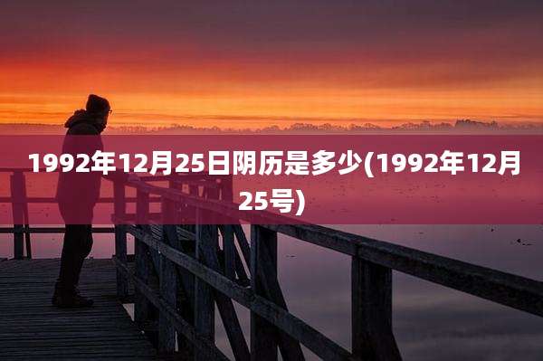 1992年12月25日阴历是多少(1992年12月25号)