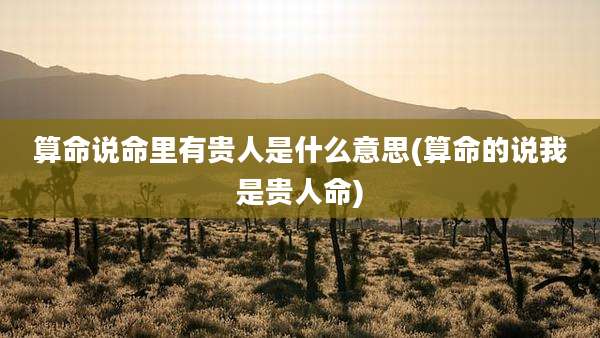 算命说命里有贵人是什么意思(算命的说我是贵人命)
