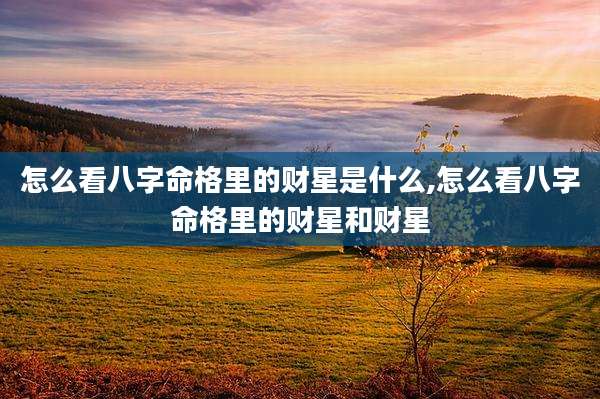 怎么看八字命格里的财星是什么,怎么看八字命格里的财星和财星