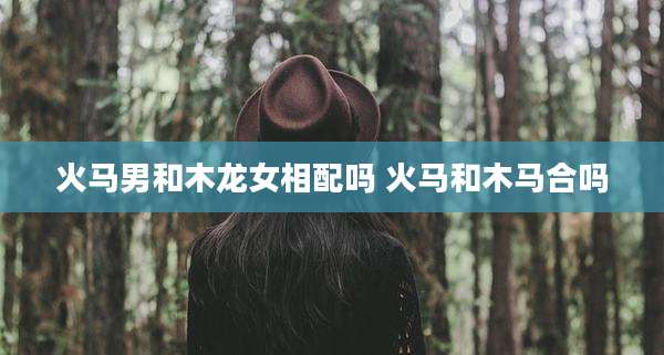 火马男和木龙女相配吗 火马和木马合吗