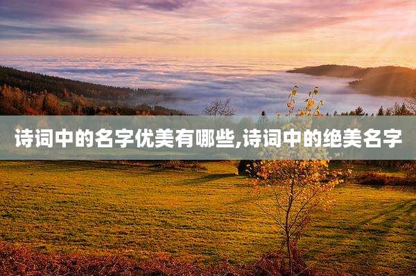 诗词中的名字优美有哪些,诗词中的绝美名字