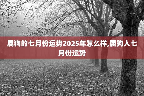 属狗的七月份运势2025年怎么样,属狗人七月份运势