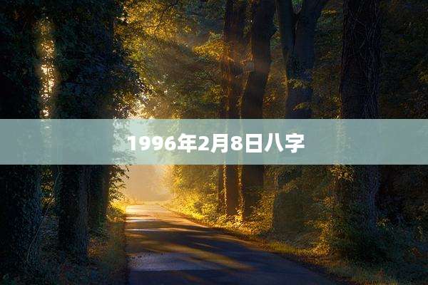 1996年2月8日八字