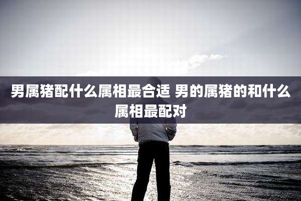 男属猪配什么属相最合适 男的属猪的和什么属相最配对