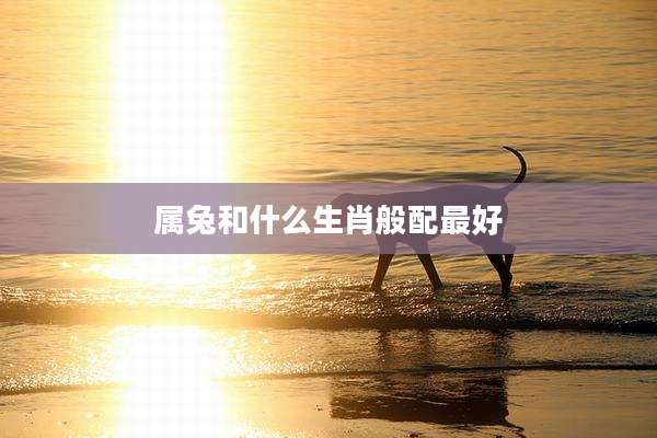 属兔和什么生肖般配最好