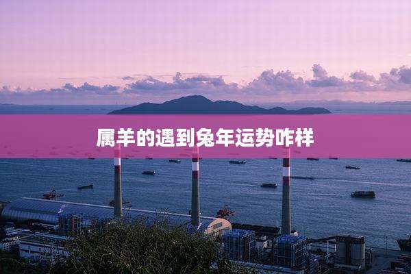 属羊的遇到兔年运势咋样