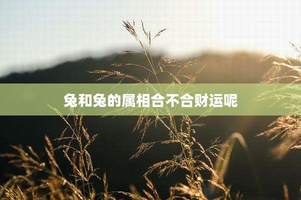 兔和兔的属相合不合财运呢
