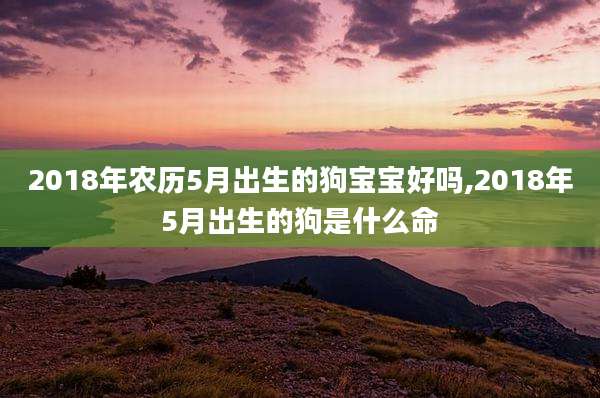2018年农历5月出生的狗宝宝好吗,2018年5月出生的狗是什么命