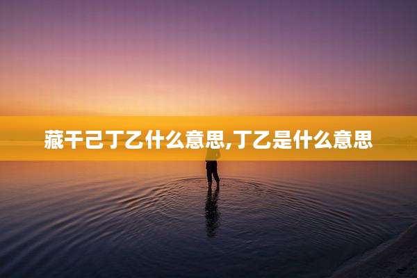 藏干己丁乙什么意思,丁乙是什么意思