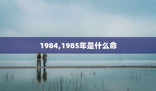 1984,1985年是什么命