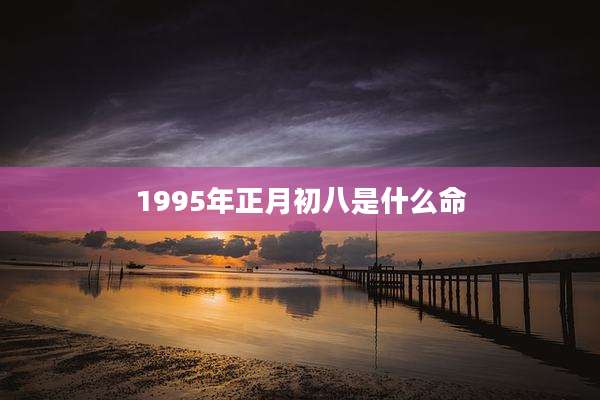 1995年正月初八是什么命