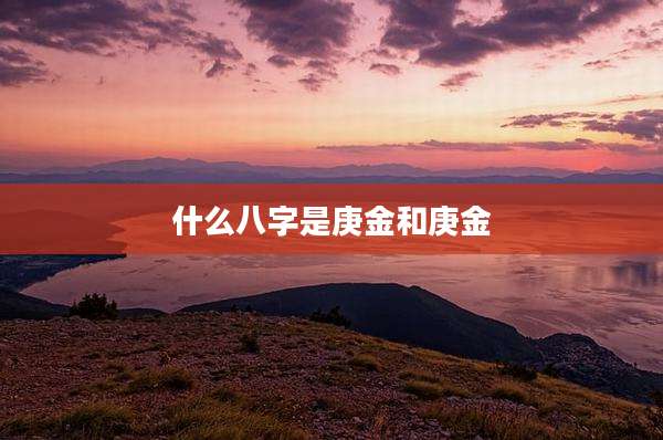 什么八字是庚金和庚金