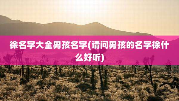 徐名字大全男孩名字(请问男孩的名字徐什么好听)