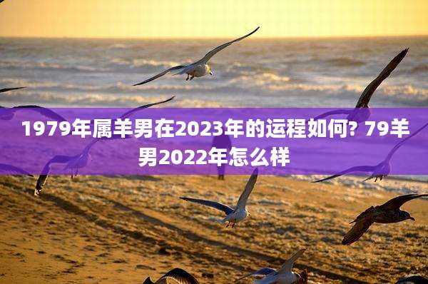 1979年属羊男在2023年的运程如何? 79羊男2022年怎么样