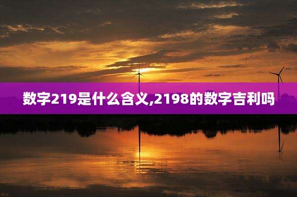 数字219是什么含义,2198的数字吉利吗
