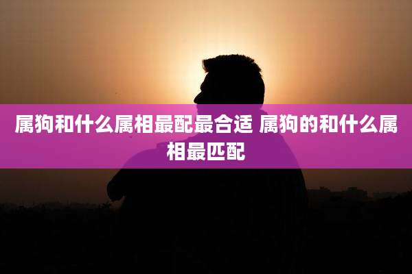 属狗和什么属相最配最合适 属狗的和什么属相最匹配
