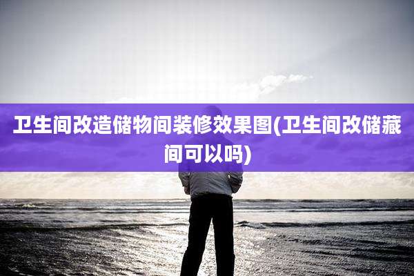 卫生间改造储物间装修效果图(卫生间改储藏间可以吗)