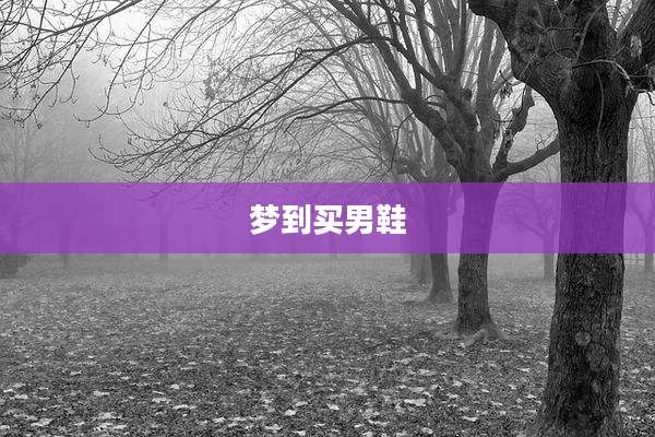 梦到买男鞋