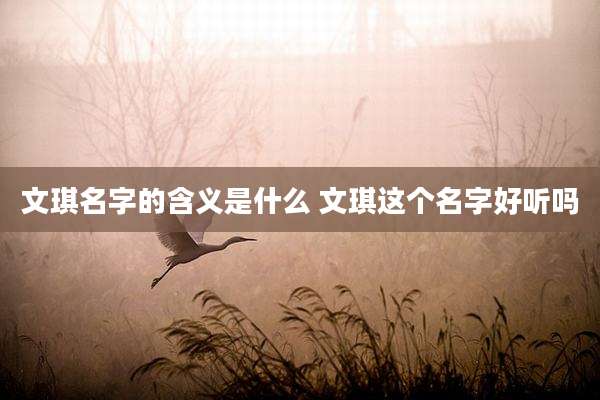 文琪名字的含义是什么 文琪这个名字好听吗